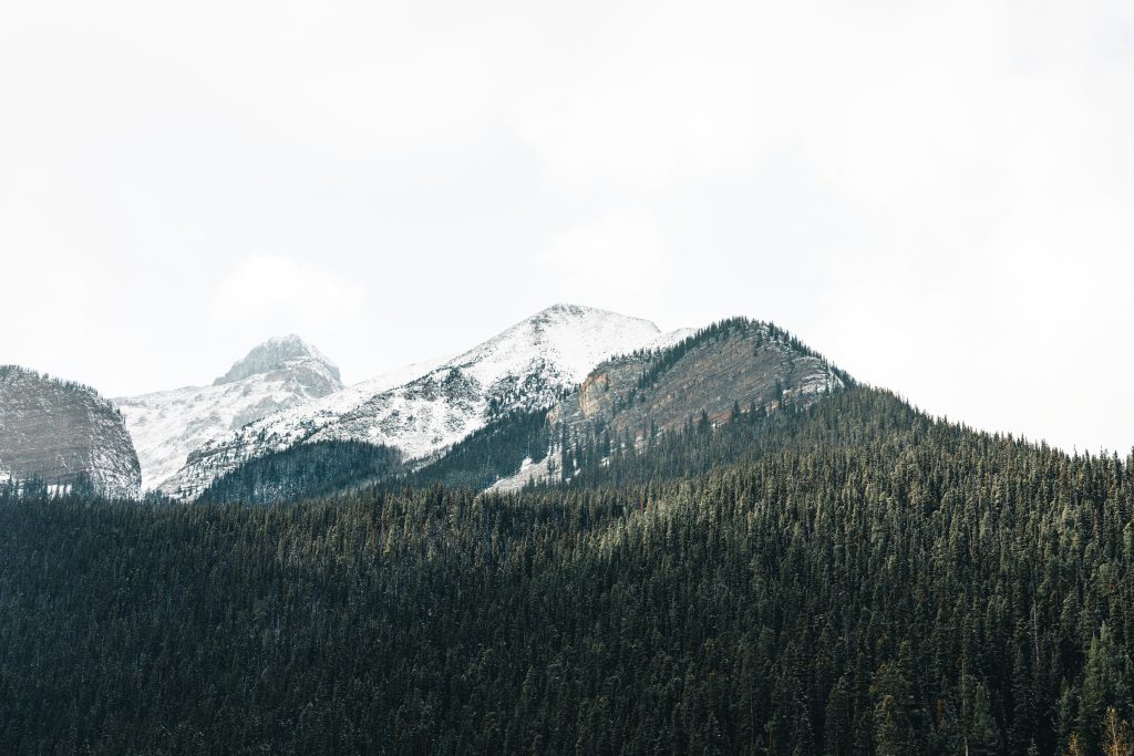 ali-kazal-BzvhM_84o88-unsplash