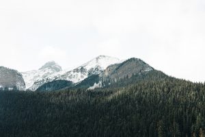 ali-kazal-BzvhM_84o88-unsplash