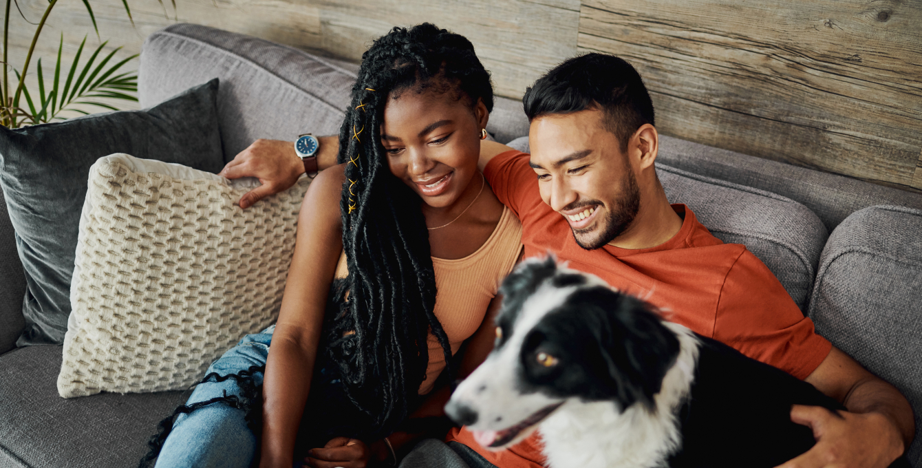 Image couple avec chien je souhaite acheter